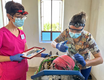 dental charity work providing free dental care